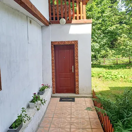 Guest Rooms- Klepalski House