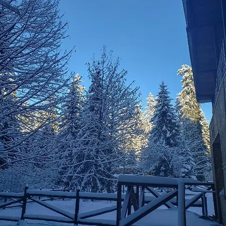 Guest Rooms- Klepalski House 3*