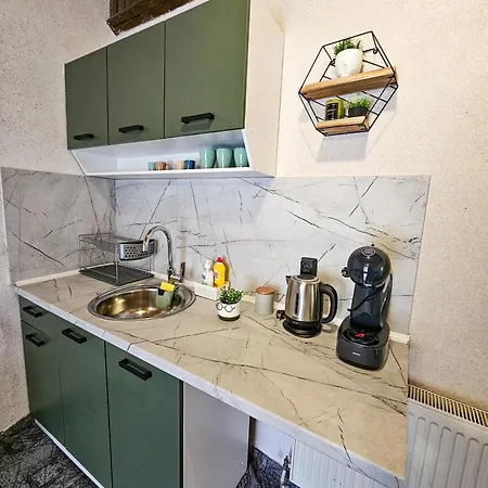 Guest Rooms- Klepalski House בורובץ